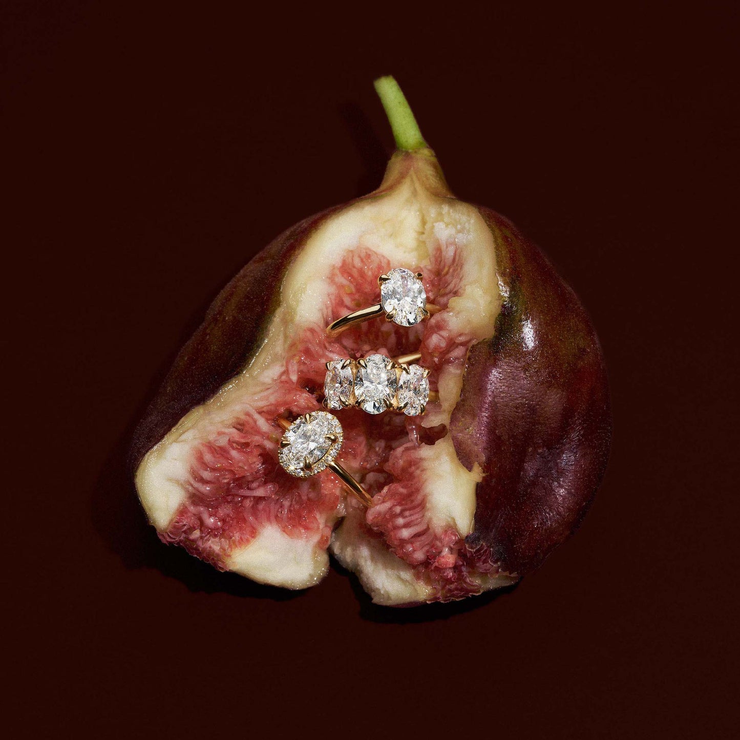 TMC047