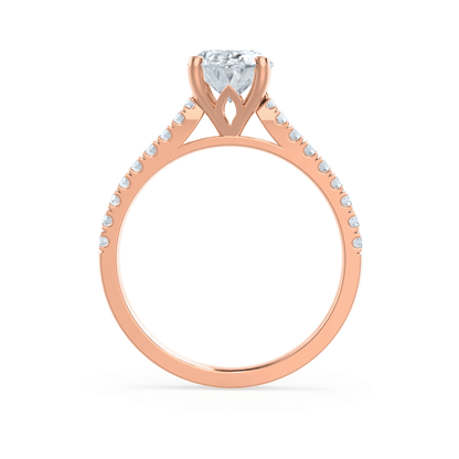 LAW295