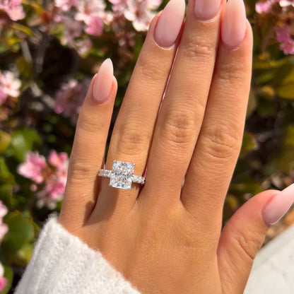 MG024