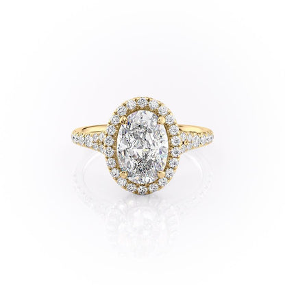 FLM062